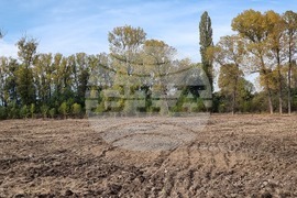 Инициатива "Новата гора на София"