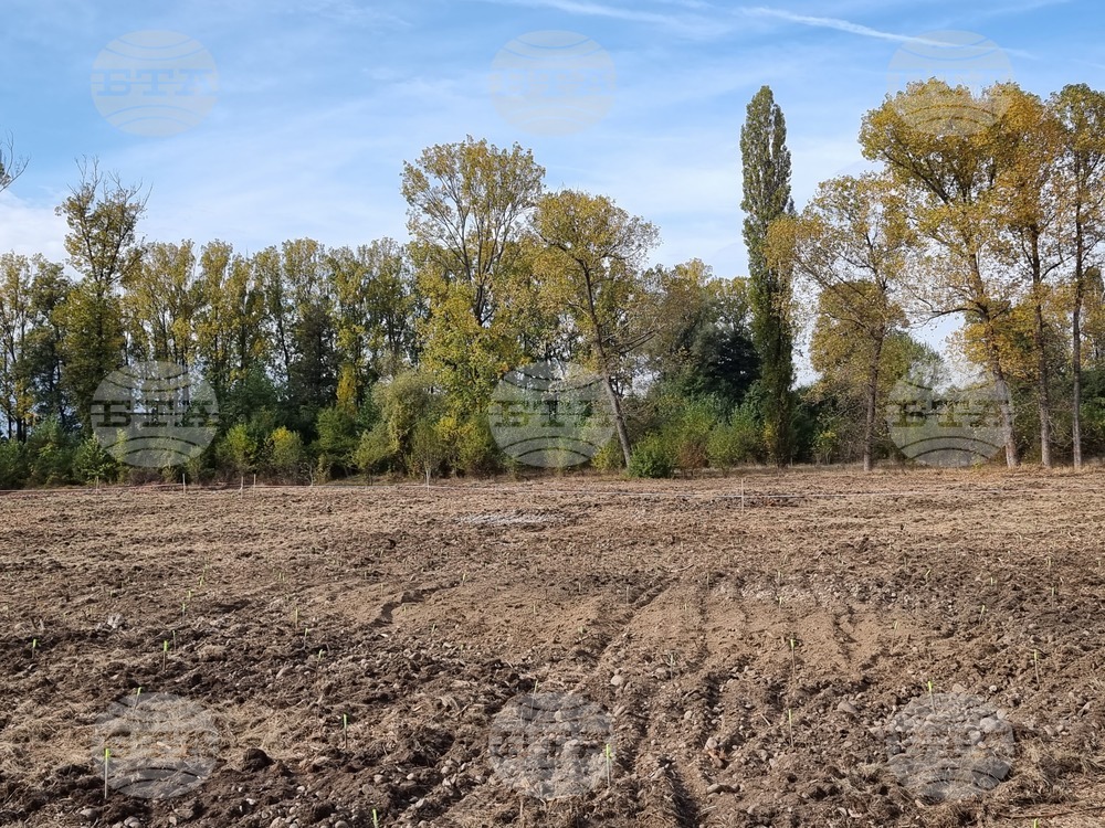 Инициатива "Новата гора на София"