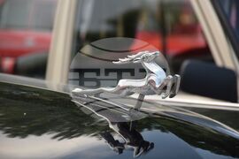 Благоевград - автомобили - ретро парад