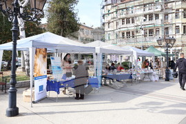 Видин - есенен базар