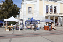 Видин - есенен базар