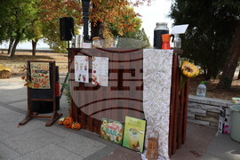 Видин - есенен базар