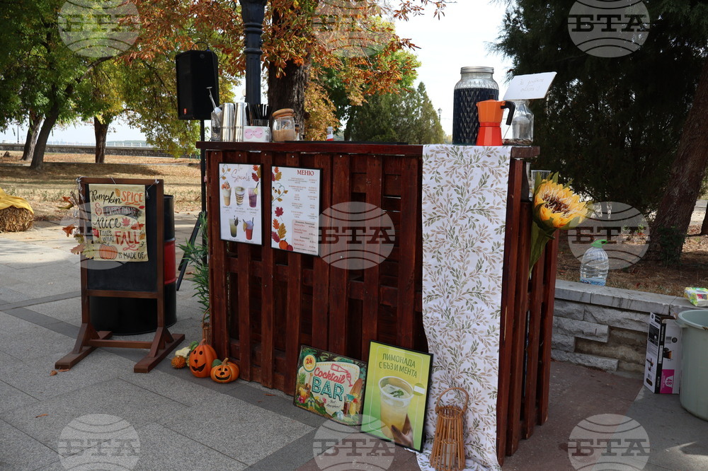 Видин - есенен базар