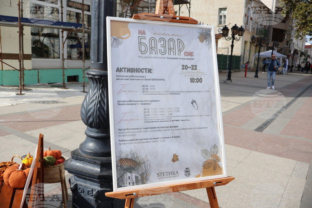 Видин - есенен базар