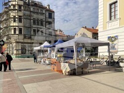 Снимка: Община Видин