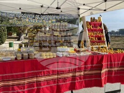 Снимка: Община Видин