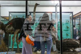 Нощ на музеите - Национален природонаучен музий при БАН