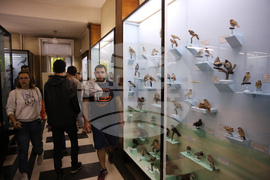 Нощ на музеите - Национален природонаучен музий при БАН