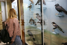 Нощ на музеите - Национален природонаучен музий при БАН