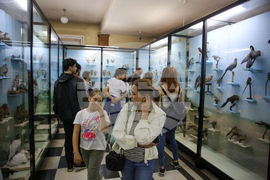 Нощ на музеите - Национален природонаучен музий при БАН