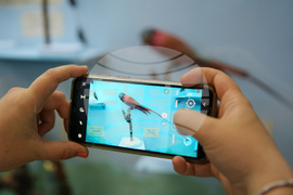 Нощ на музеите - Национален природонаучен музий при БАН