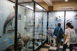 Нощ на музеите - Национален природонаучен музий при БАН