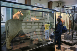 Нощ на музеите - Национален природонаучен музий при БАН