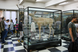 Нощ на музеите - Национален природонаучен музий при БАН