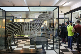 Нощ на музеите - Национален природонаучен музий при БАН