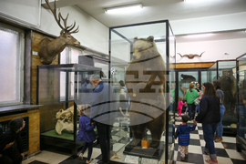 Нощ на музеите - Национален природонаучен музий при БАН