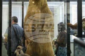 Нощ на музеите - Национален природонаучен музий при БАН