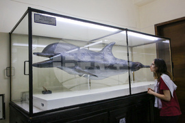 Нощ на музеите - Национален природонаучен музий при БАН