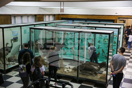 Нощ на музеите - Национален природонаучен музий при БАН