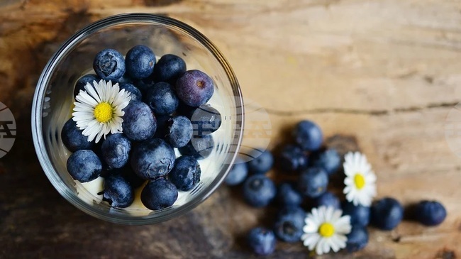 Northwestern Village to Hold Its First Blueberry Festival