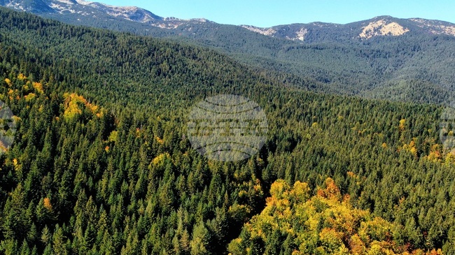 Добри са условията за туризъм в планините, от ПСС призовават туристите да тръгват със заредени телефони 