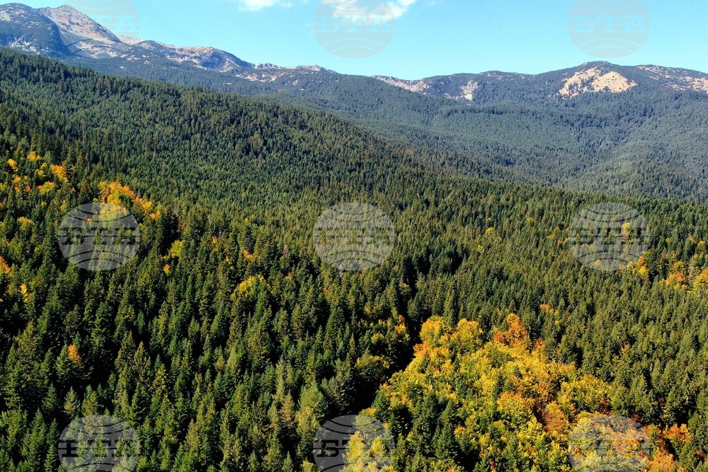 Банско - Пирин планина - есен - изглед