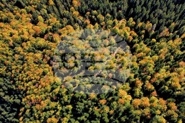 Банско - Пирин планина - есен - изглед