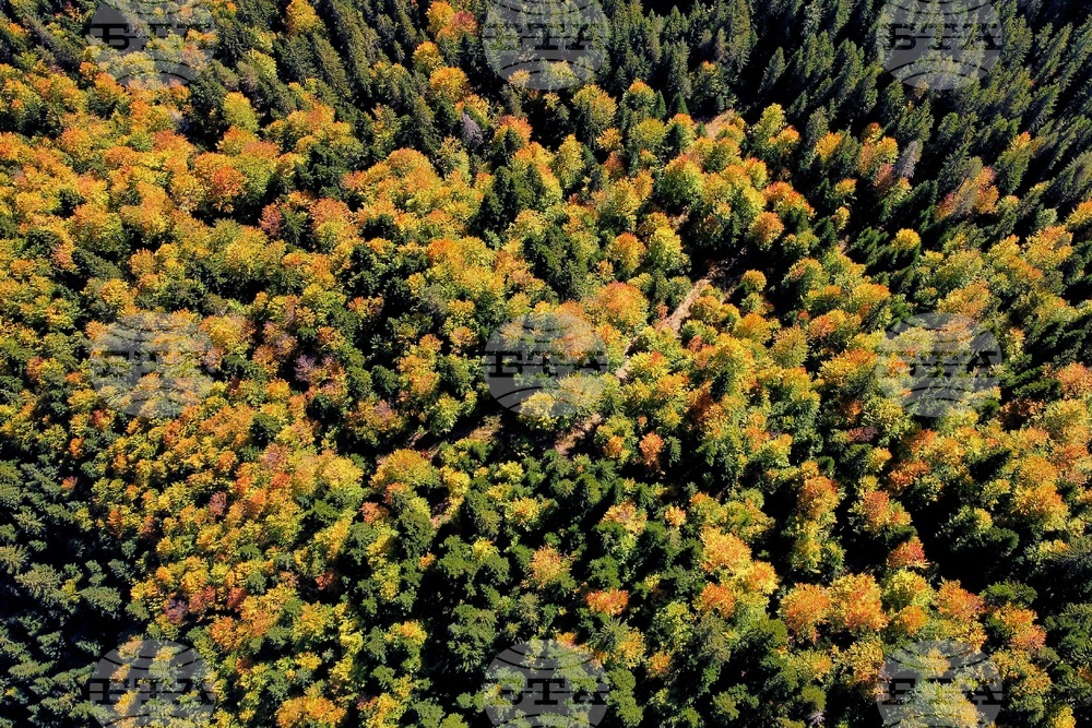 Банско - Пирин планина - есен - изглед