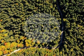 Банско - Пирин планина - есен - изглед