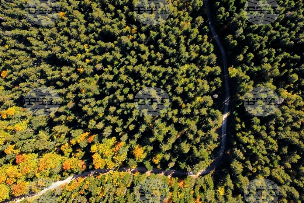 Банско - Пирин планина - есен - изглед