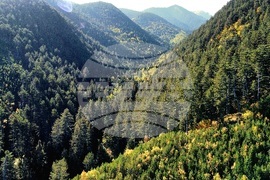 Банско - Пирин планина - есен - изглед