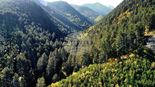  Банско - Пирин планина - есен - изглед