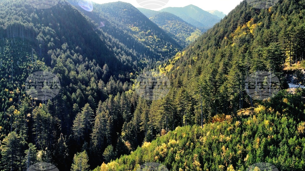 Банско - Пирин планина - есен - изглед