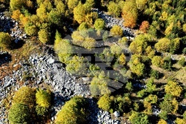 Банско - Пирин планина - есен - изглед