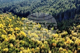 Банско - Пирин планина - есен - изглед