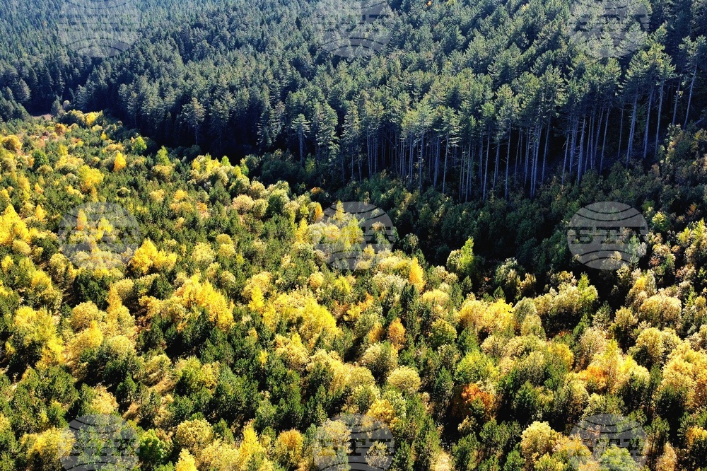 Банско - Пирин планина - есен - изглед