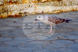 Поморие - топло време - изгрев