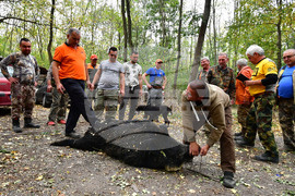 Село Голям Поровец - ловна слука
