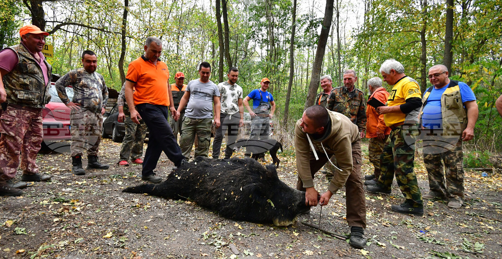 Село Голям Поровец - ловна слука