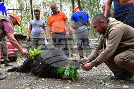 Село Голям Поровец - ловна слука