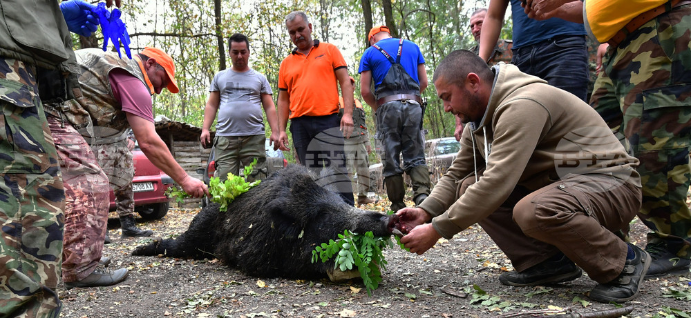 Село Голям Поровец - ловна слука