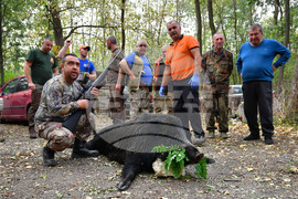 Село Голям Поровец - ловна слука
