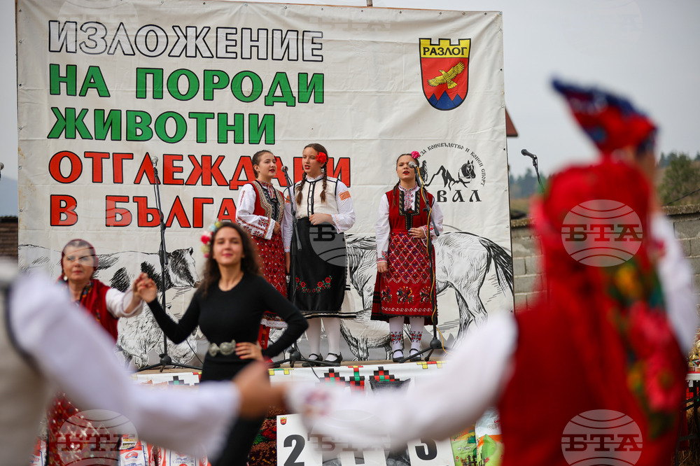 Разлог - изложение на животни
