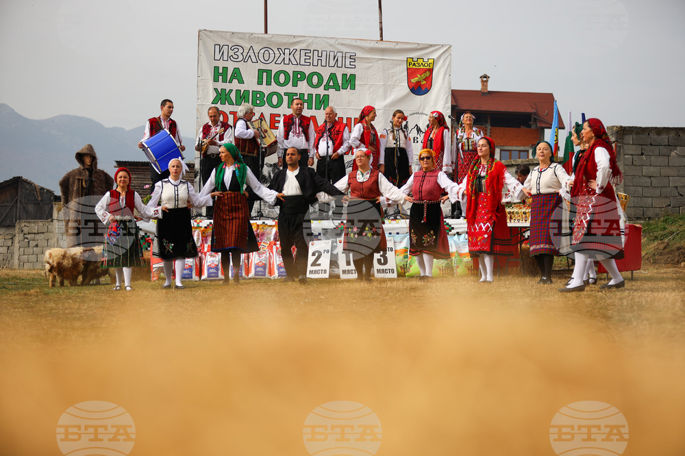 Разлог - изложение на животни