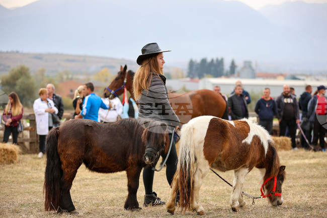  Разлог - изложение на животни