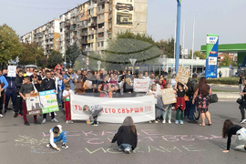 Димитровград - ТЕЦ "Марица 3" - протест