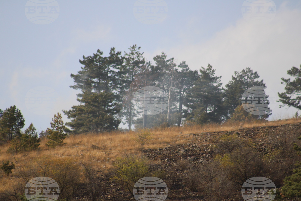 Костинброд - пожар - потушаване