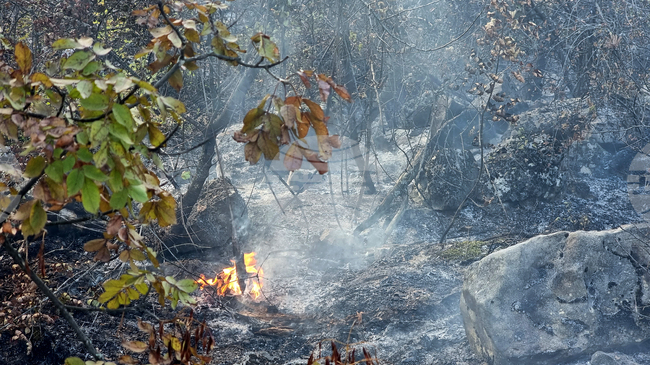 Kostinbrod Municipality Declares Partial State of Disaster after Fire Spreads to Three Villages
