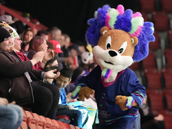 Finland Hockey Worlds