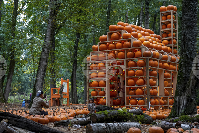Фестивал на тиквата в Германия привлича посетители с 4-метрови скулптури